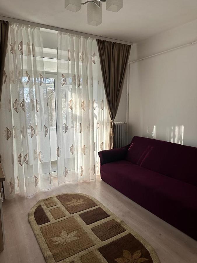 Velovan Apartment Craiova Eksteriør billede